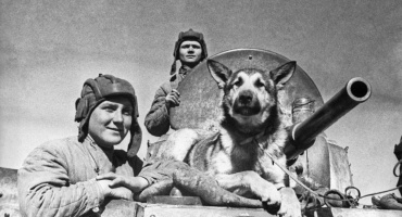 19 августа - День фронтовой собаки